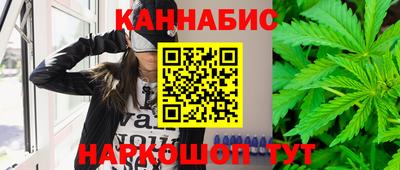 стаф Камышлов
