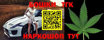 стаф Камышлов