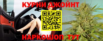 стаф Камышлов