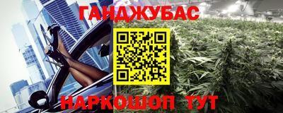 стаф Камышлов