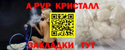 стаф Камышлов