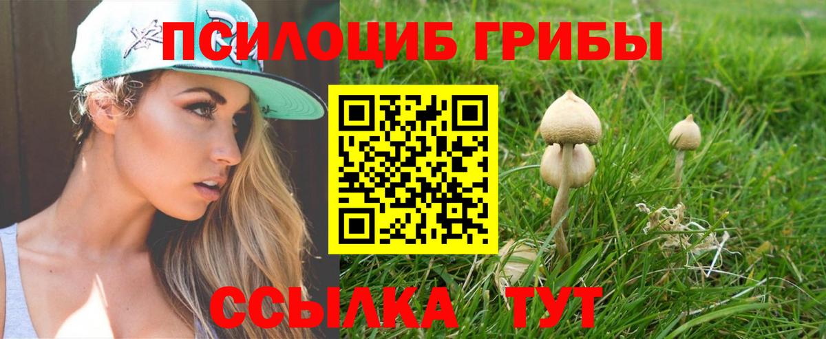 Псилоцибиновые грибы ЛСД Куйбышев